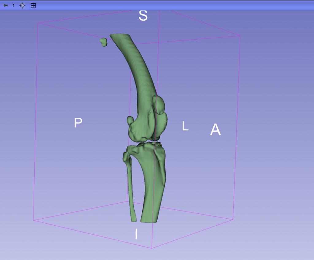 Zöld 3D-s felületi modell egy állat térdízületéről a combcsonttal és a sípcsonttal.